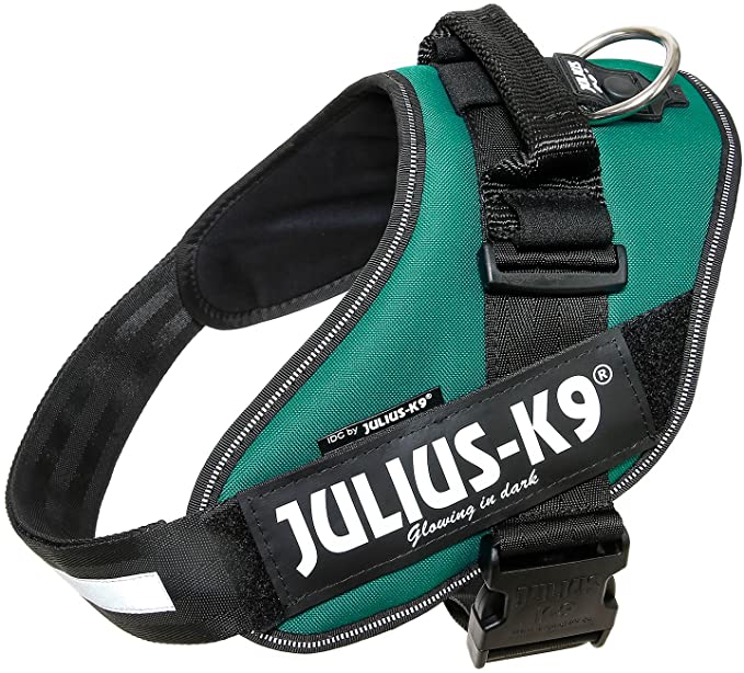 Julius-K9 16IDC Power Harness