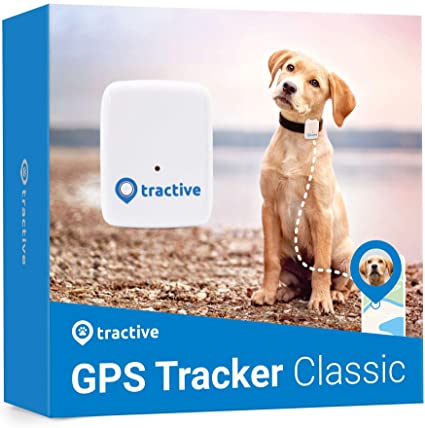 Localizador GPS para perros